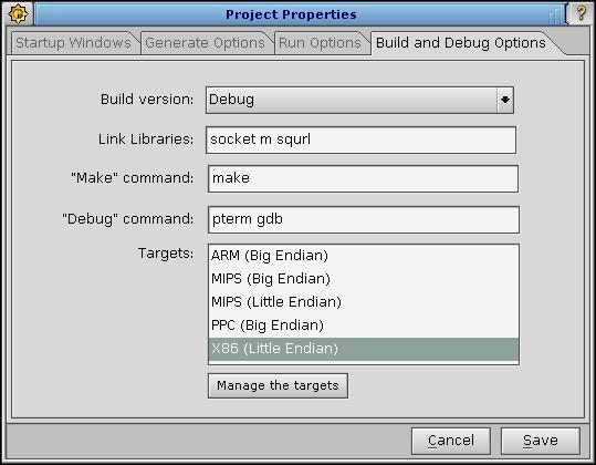 Build and Debug Options tab of the Project Properties dialog