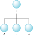 Process P with three children, A, B, and C