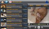 Youtube video player