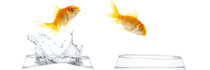 migrating to protected memory