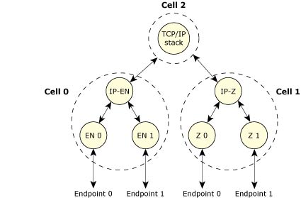 Cells and endpoints.