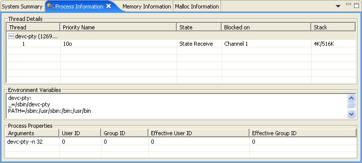 Process Information view