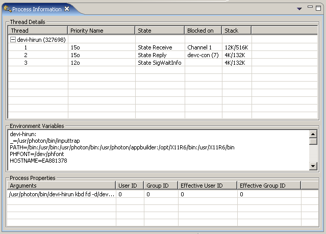 Process Information view