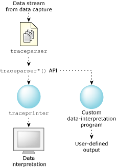 Data interpretation