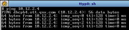 Running ping on the target