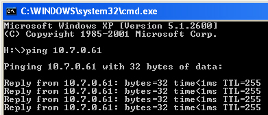 Running ping on the host