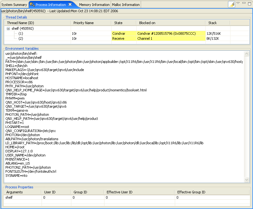 Process Information view