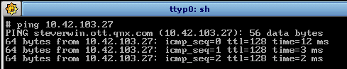 Running ping on the target