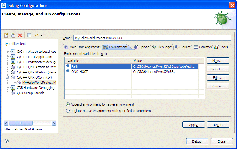 Launch - Environment tab