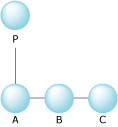 Process P with one child with two siblings