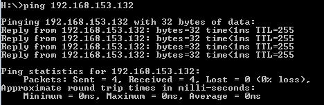 Running ping on the host