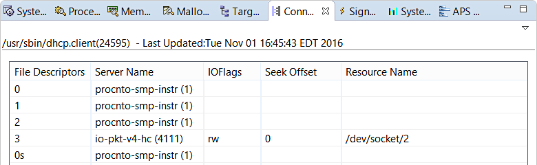 Screenshot of Connection Information view that lists the file descriptors, server names, and more for a process's connections