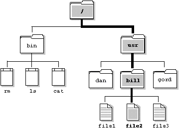 Figure showing a QNX directory structure