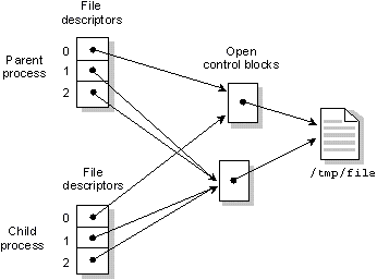 Figure showing a process using the <func>dup</func> function